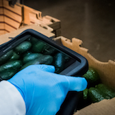 Colorlib Template